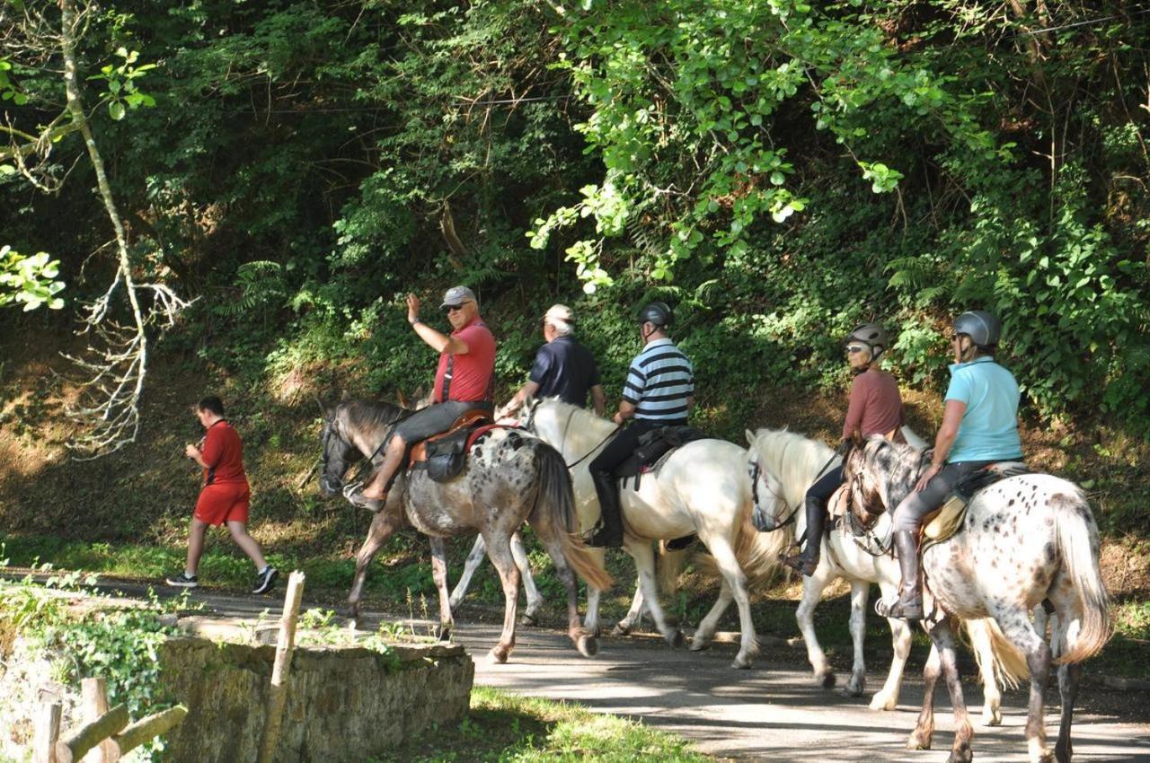 Les Chalets Du Moulin Du Chatain 4 Payzac  외부 사진